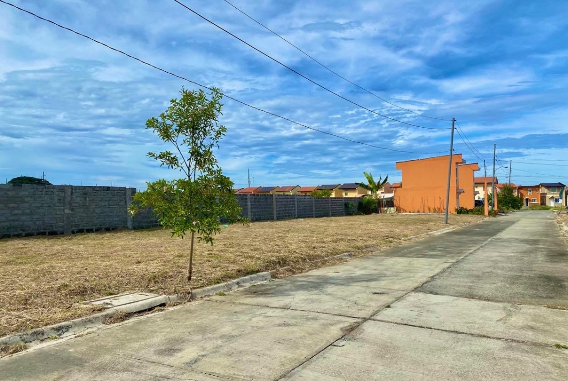 Affordable Lot for sale in Ilocos Sur