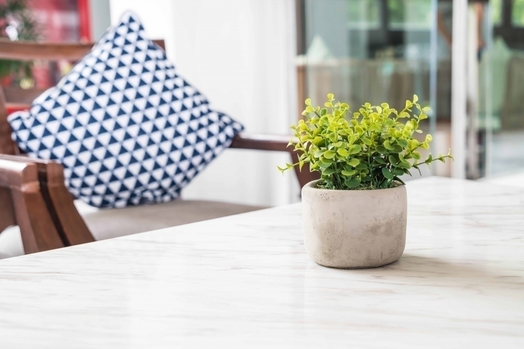 Sunlight-Indoor-plant-on-windows