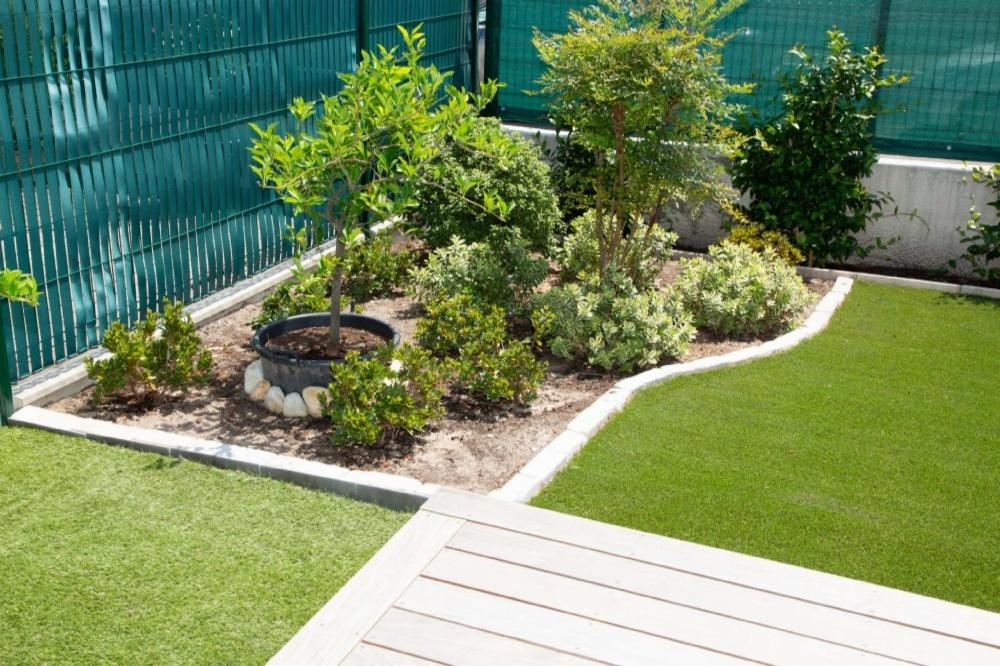 House And Lot - Backyard Lawn Ideas
