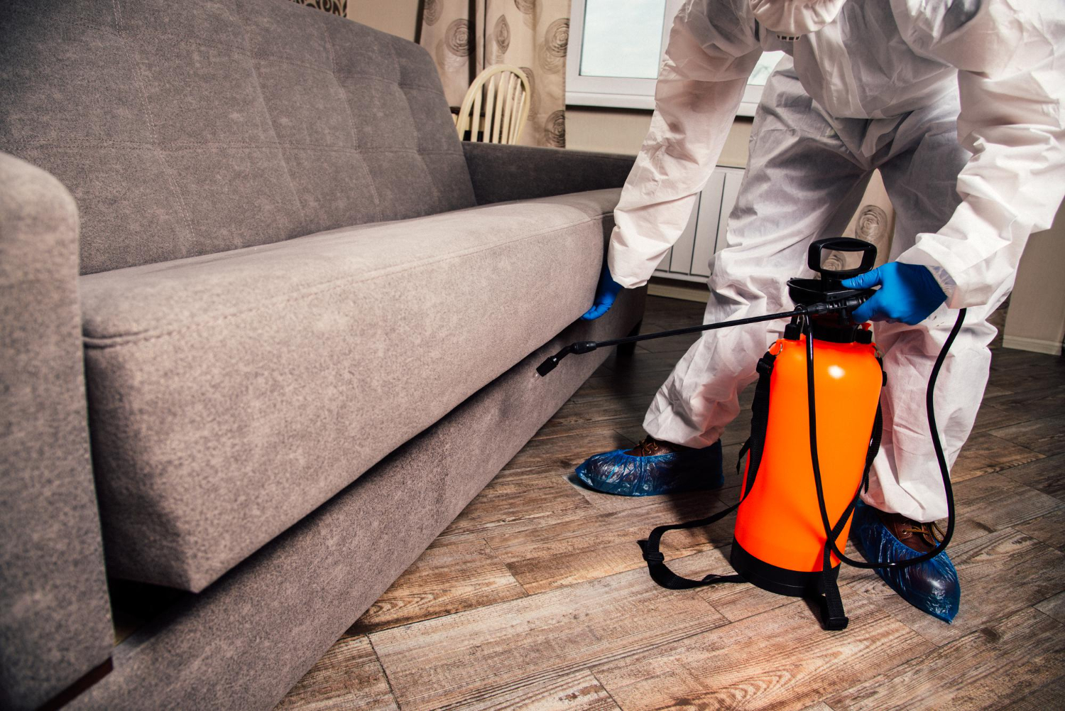 Pest Control Checklist A Guide to Pest Removal at Home