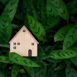 sustainable-home-design