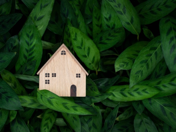 sustainable-home-design