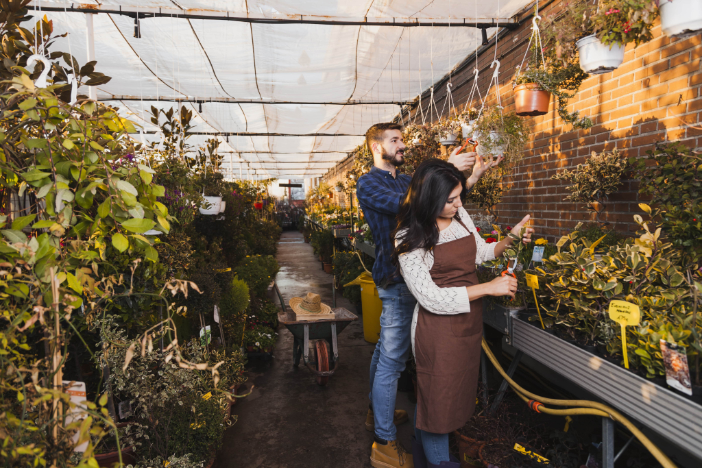 The Emergence of Urban Farming and Community Gardens in Philippine Cities - 1