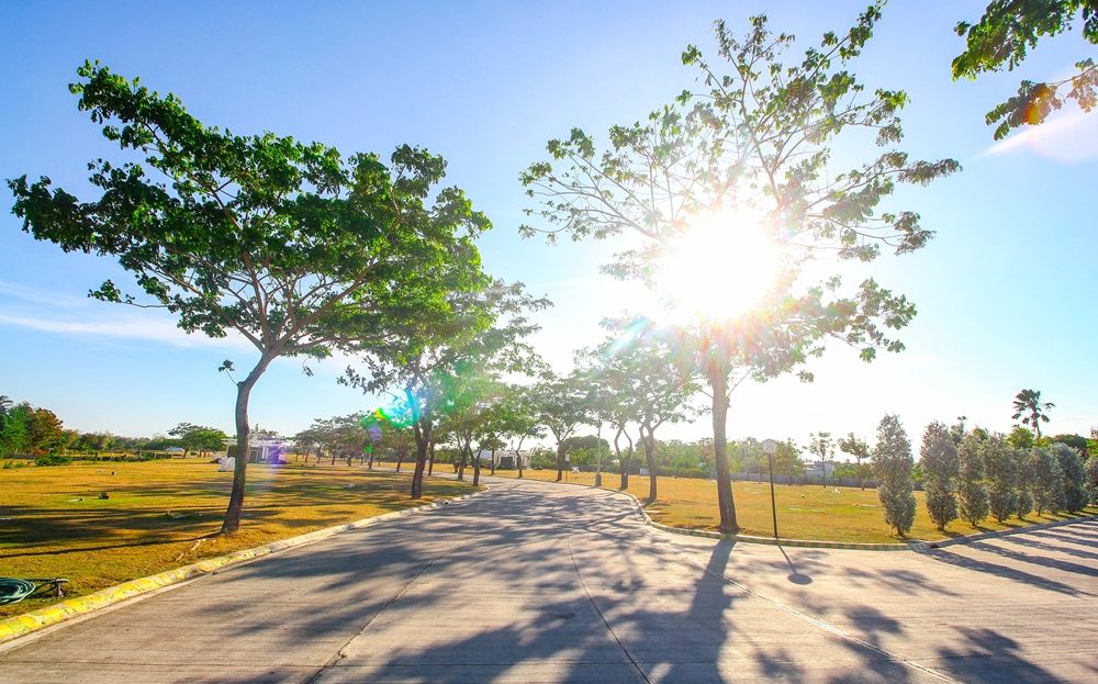 Lawn lot for sale in Iloilo