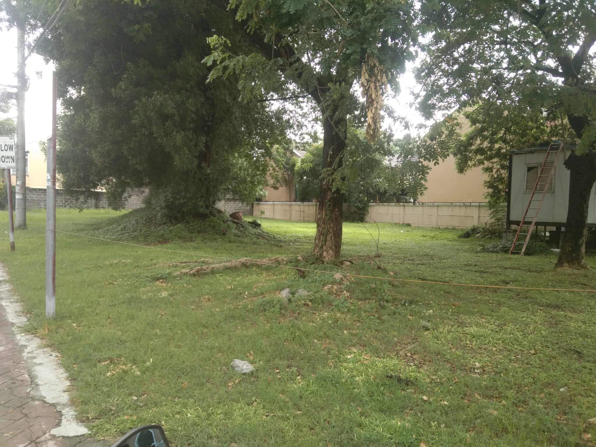 commercial-lot-for-sale-in-taguig-aventine-2