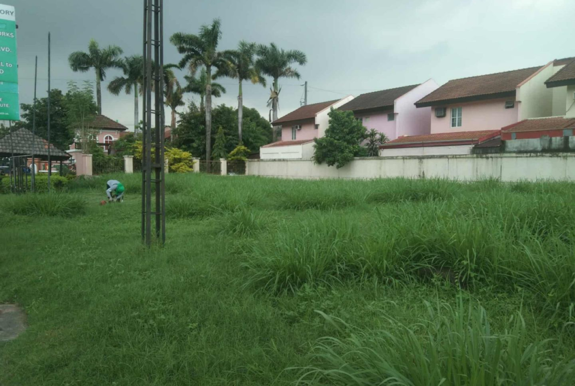 commercial-lot-for-sale-taguig-camella-grenville-4