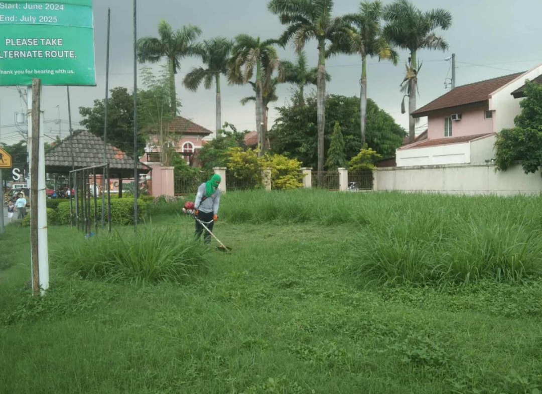 commercial-lot-for-sale-taguig-camella-grenville-3